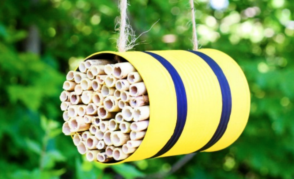 Can made into a bee hotel hanging from a tree 