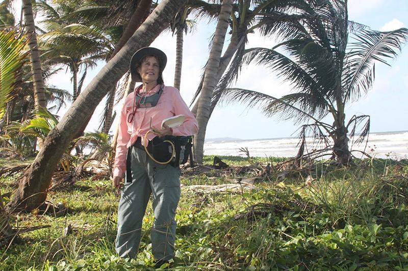 A person standing outdoors near a beach in a tropical habitat.