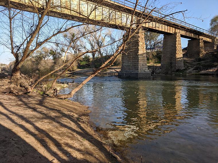 The Tuolumne River is important for water supplies and represents critical salmon habitat. A section of the Tuolumne River Regional Park in Modesto (photo credit: I. Stewart-Frey)