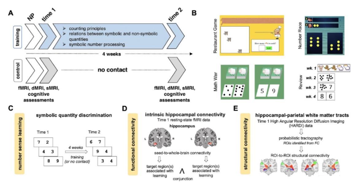 A figure depicting a set of training programs used in the experiment