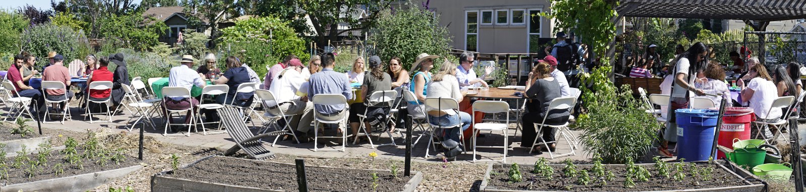 Department chairs and managers in the Forge Garden at tables making paella