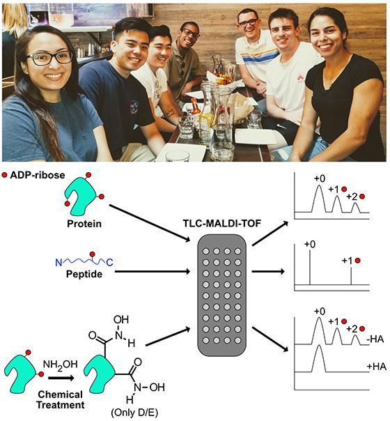 two images with people in the top image and a scientific diagram on the bottom