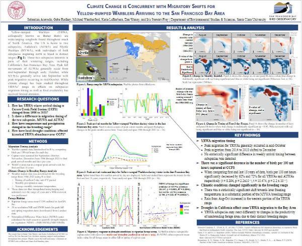 Poster for a presentation on the migration timing of yellow-rumped warblers at SFBBO