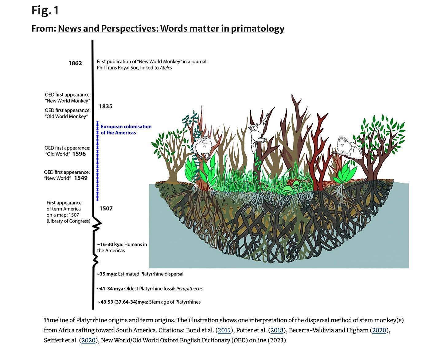 An llustration of one interpretation of rafting dispersal