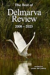 The Best of Belmarva Review 2008-2023 book cover