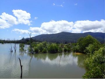 Scenic view of a lake with trees and mountains in the background.