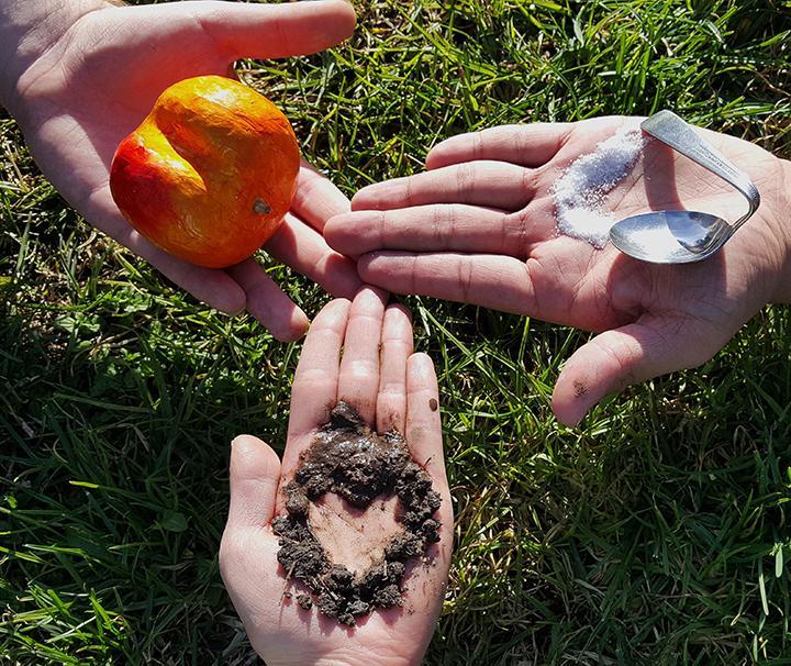 Four hands holding fruit, flower, and acorns on green grass.