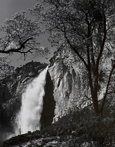 Black and white photograph of gushing waterfall during the day. Tree branches silhouette in the foreground.