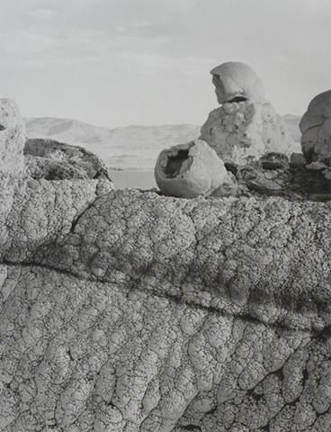 Black and white photograph of large rocks laying on a textured stone. Distant background of treeless mountains.