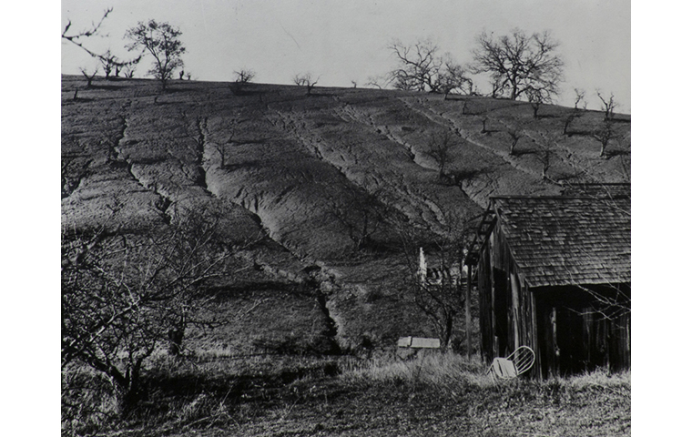 Black and white photograph of hillside that is dry and cracked. Dilapidated barn to right with broken chair leaning against corner of it. A few scattered rows of leafless trees.