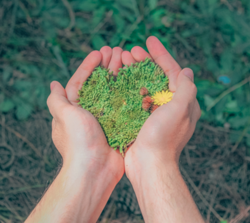 Two hands holding a heart-shaped piece of moss.