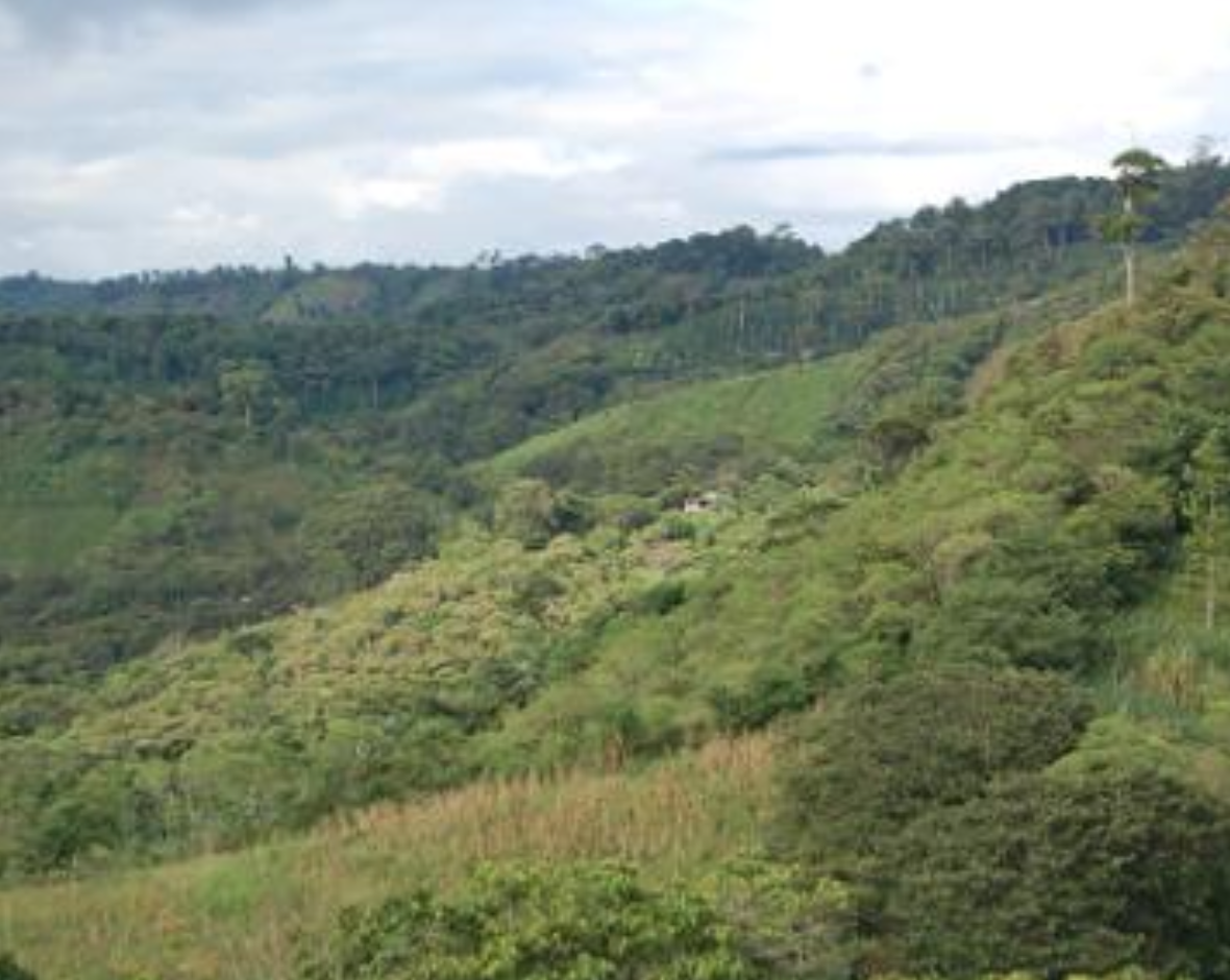 Tree-covered hills under a cloudy sky in Nicaragua.