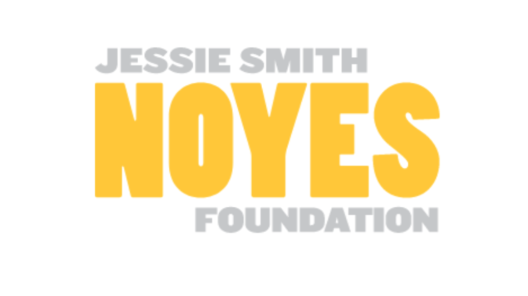 Noyes logo