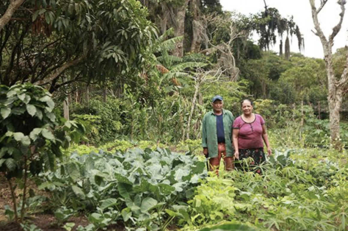 Two people standing in a lush garden.