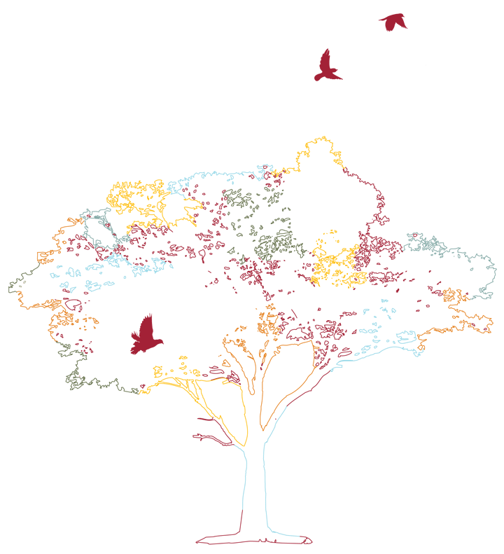 Birds in a Tree