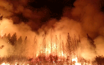 Rim Fire