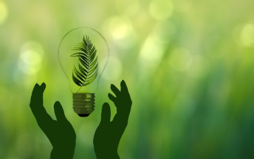 Two hands surrounding a light bulb. Inside the bulb is a fern plant. The hands and bulb are set against a green backdrop. Photo by Gerd Altmann_Pixabay. 