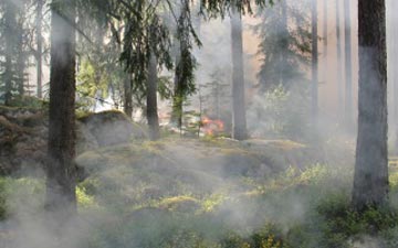 Big Sur Wildfire