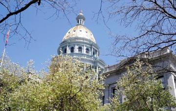Colorado State Capitol dome with gold leaf, surrounded by tree branches.