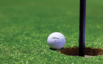 Golf ball on the green.