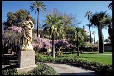 A park with palm trees and a statue on a pedestal.
