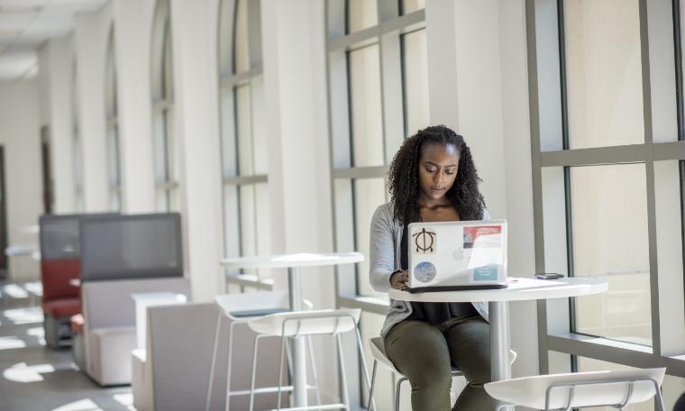 Woman working on a laptop at a desk in a bright room.