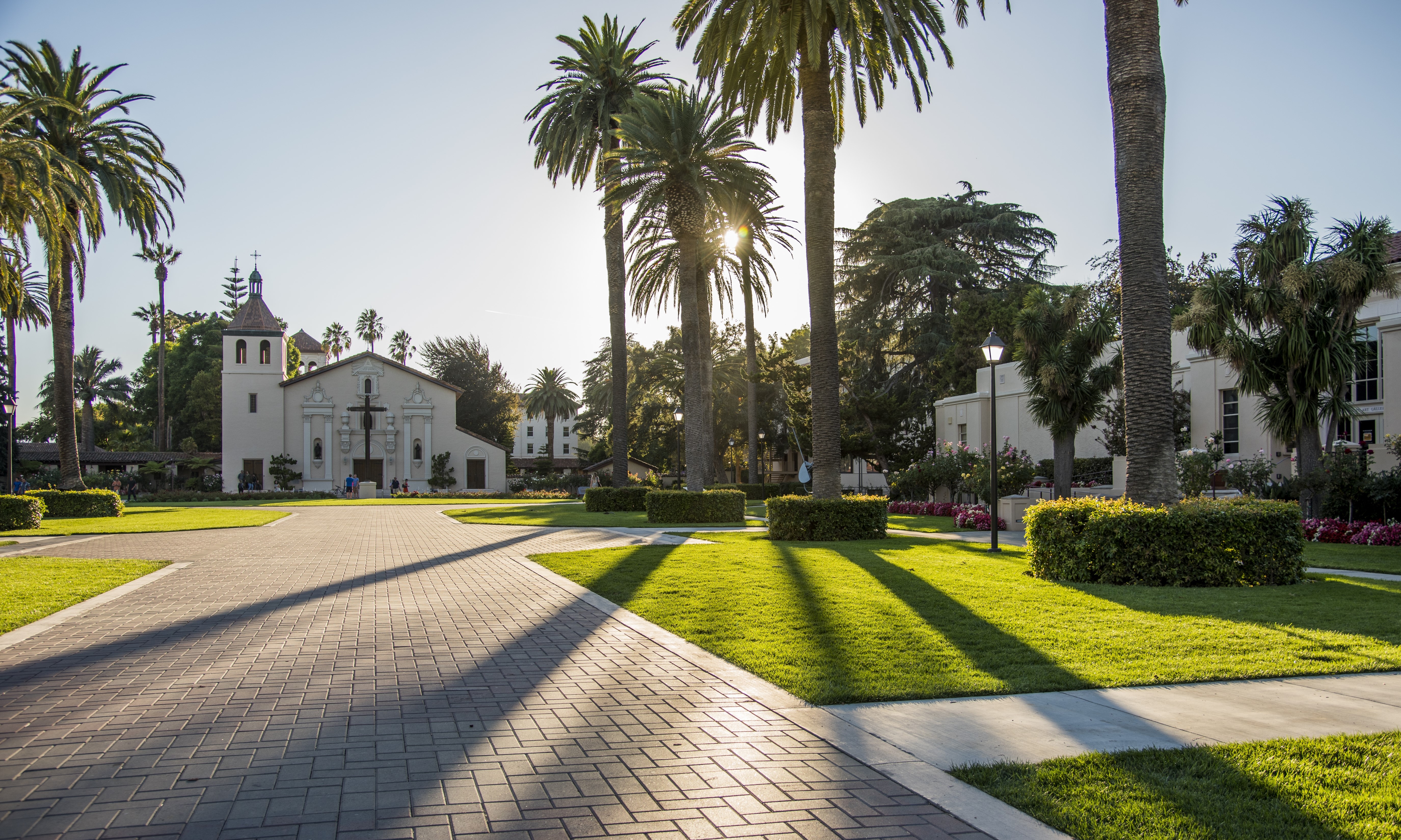 Palm trees and buildings on a sunny day in Silicon Valley.