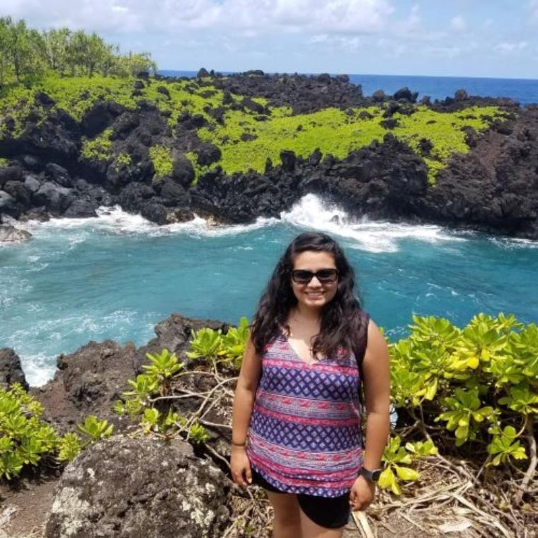 A person standing in front of a scenic ocean view.