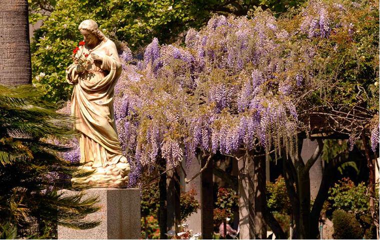 Statue in Mission Gardens image link to story