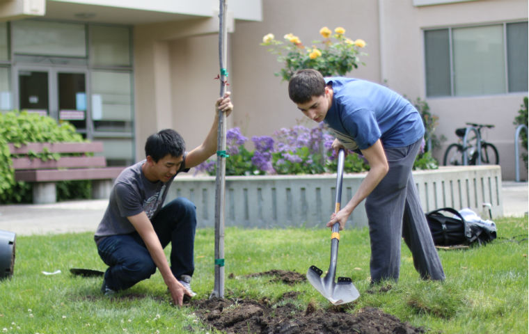 Students on campus planting trees. Smiling facing camera. image link to story