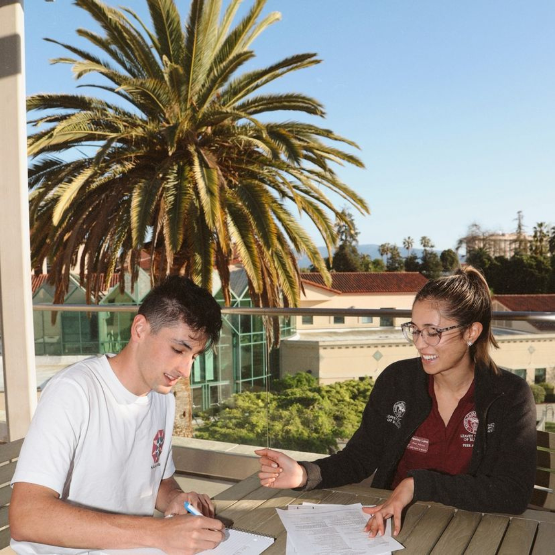 Student Advising by a LSB Peer Education 