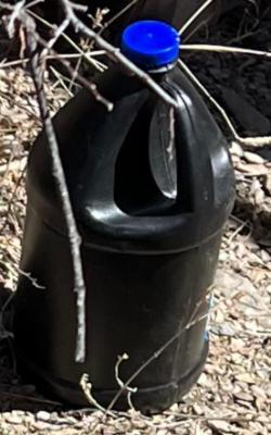 Black plastic jug with blue cap on a bed of dirt and sticks.