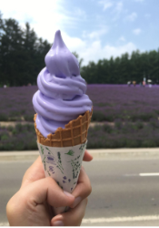 A hand holding lavender ice cream cone in front of a lavender field.