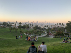 People sitting on a grassy hill overlooking a city skyline at sunset.