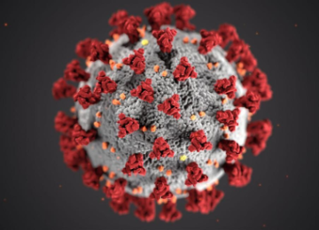 Image of coronavirus