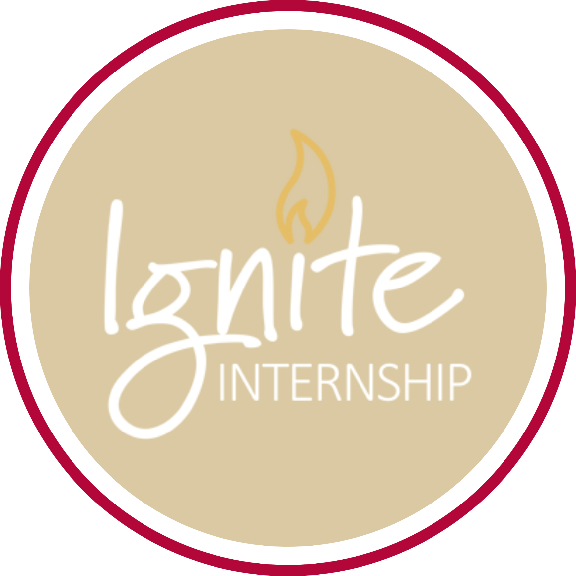 Ignite Internship