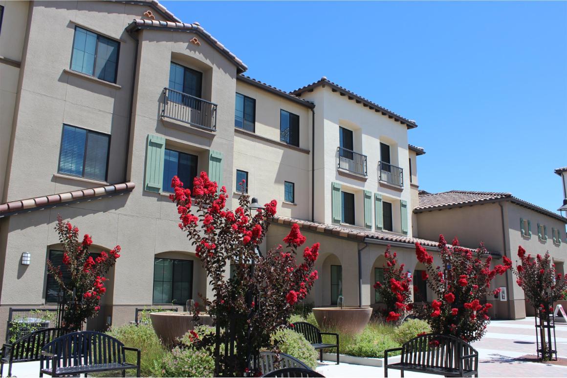 The Univeristy Villas