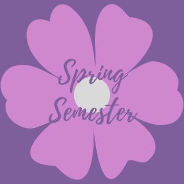 Spring Semester Law