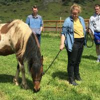 A person leading a brown and white horse, two people in the background.