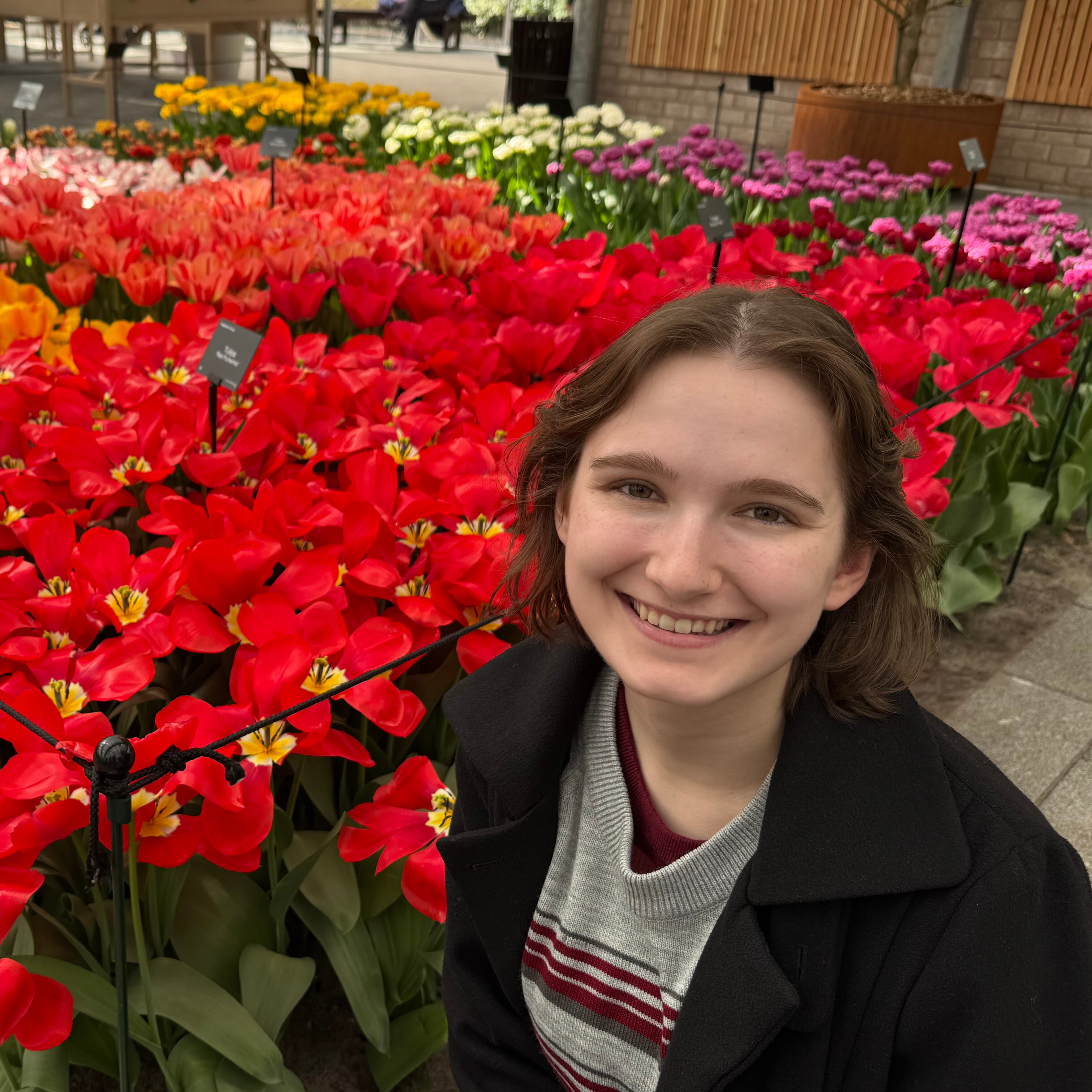 Anna Cavanagh headshot 