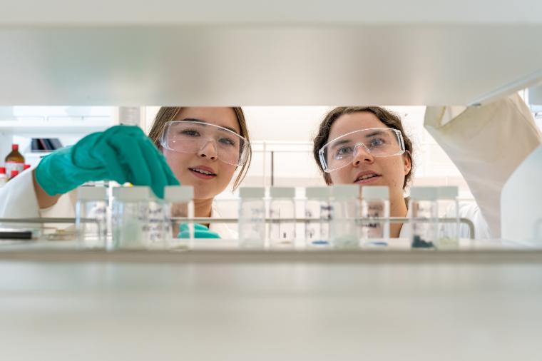 Students in the lab 