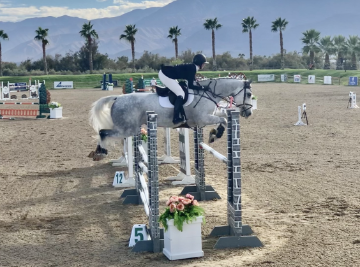 Person in equestrian gear jumping a horse over an obstacle course.