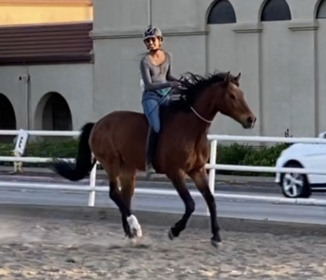 A person riding a horse in an outdoor arena.