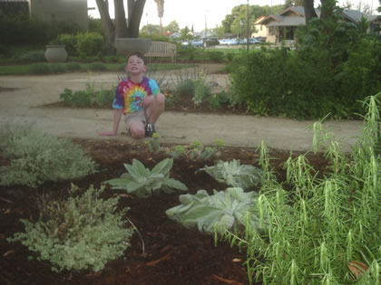 Designer's son Tony admires the mullein