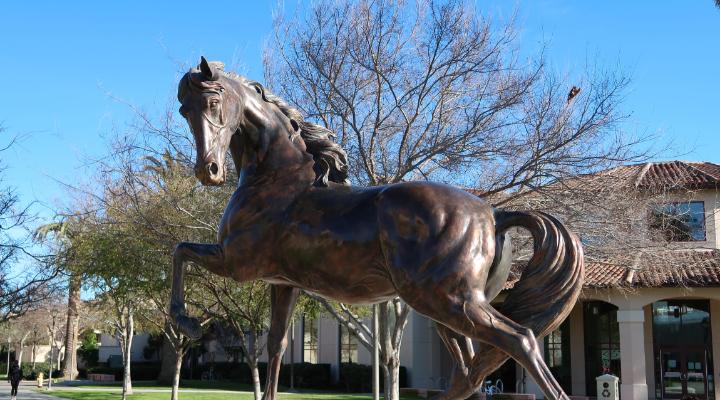 Photo of the Bronco statue on campus
