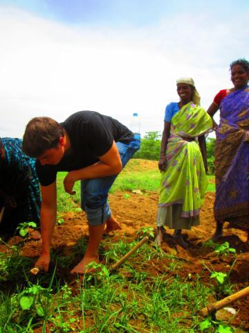 A person tends to plants with three observing in a field.