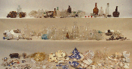 Shelf with various glass bottles and artifacts, arranged in multiple rows.