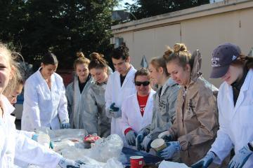 Waste Characterization in Facilities Yard 