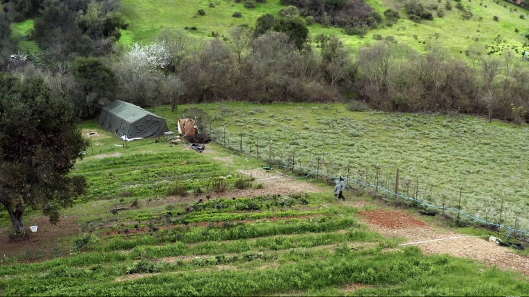 A natural green field with rows of crops and a dirt path with two people walking along it