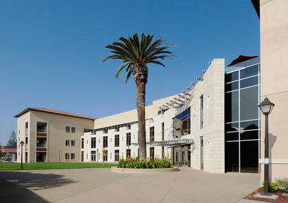 Exterior view of a modern building with a central palm tree. image link to story